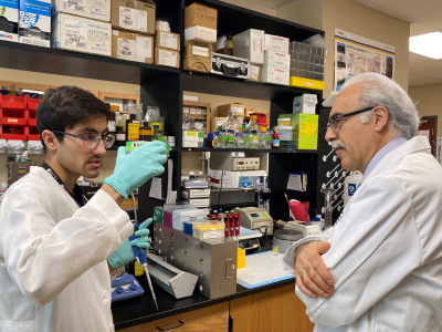 Summer researchers work together. 